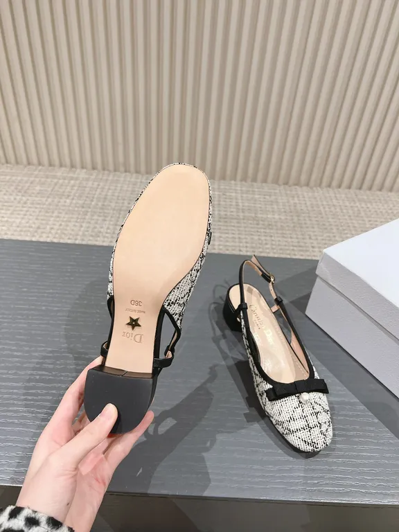 Dior Shoe 